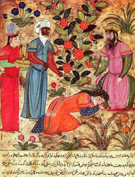 Fol.101 Une femme suppliant le sultan, du 